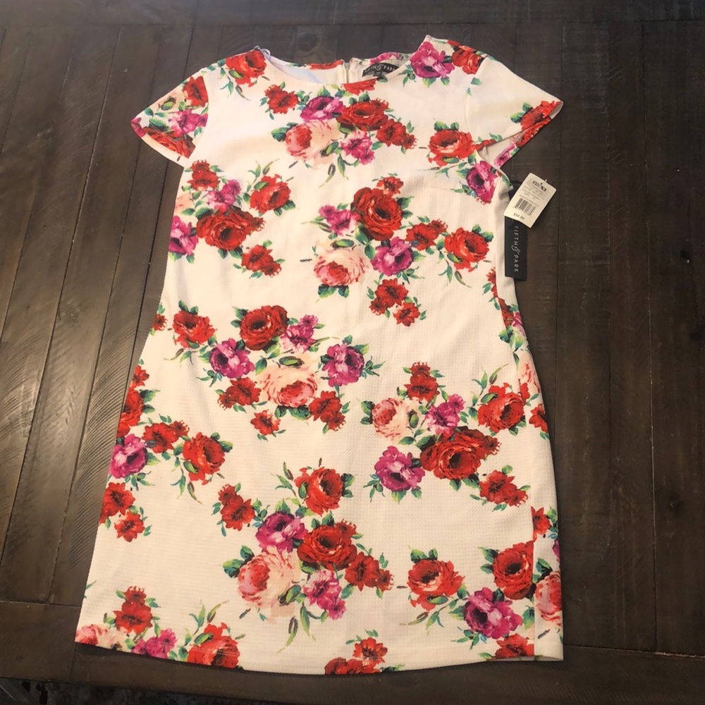 NWT Fifth & Park ivory and red dress